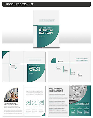 템플릿 ZIP 반려견 두마리 팜플렛 사람없음 초록색 반려동물 골든리트리버 동물병원 반려 비숑프리제 인디자인 INDD 이미지템플릿 동물 컬러 2 병원 개 리트리버 파일형식