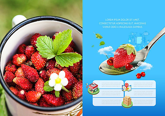 PSD 템플릿 표지디자인 북디자인 출판디자인 꽃 내지 리플렛 잎 북커버 딸기 이벤트 팜플렛 사람없음 파란색 숟가락 신선 배송 딸기꽃 새벽배송 이미지템플릿 식물 컬러 과일 수저 파일형식