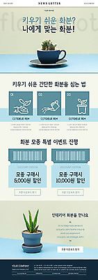 PSD 식물 템플릿 ZIP 화분 웹템플릿 선인장 사람없음 파란색 쿠폰 바코드 뉴스레터 다육식물 이미지템플릿 컬러 파일형식