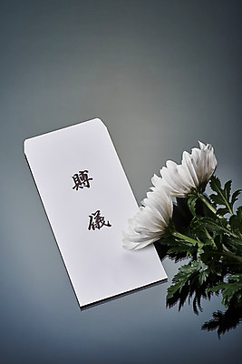 포토 JPG 스튜디오촬영 꽃 회색배경 국화 실내 누끼 사람없음 하이앵글 슬픔 죽음 두송이 애도 위로 장례 장례식 장례용품 추모 플랫레이 부의금 부의금봉투 국내포토 식물 감정 뷰포인트 백그라운드 2 봉투 내부 회색 플랫 오브젝트 파일형식