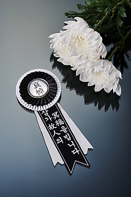 포토 JPG 스튜디오촬영 꽃 회색배경 국화 실내 누끼 사람없음 하이앵글 슬픔 죽음 배지 애도 세송이 위로 장례 장례식 장례용품 추모 국내포토 식물 감정 뷰포인트 백그라운드 3 내부 회색 오브젝트 파일형식