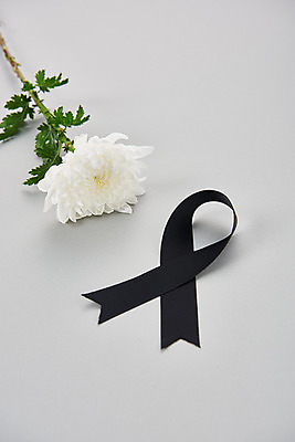 포토 JPG 스튜디오촬영 꽃 한송이 회색배경 국화 실내 누끼 사람없음 하이앵글 슬픔 죽음 애도 위로 장례 장례식 장례용품 추모 검정리본 국내포토 식물 1 감정 리본 뷰포인트 백그라운드 내부 회색 오브젝트 송이 파일형식