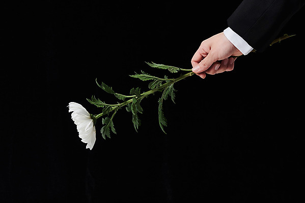 포토 JPG 스튜디오촬영 손 꽃 한송이 검은배경 국화 실내 들기 누끼 정장 20대 신체부위 슬픔 죽음 애도 위로 장례 장례식 장례용품 추모 국내포토 식물 1 옷 감정 백그라운드 모션 사람 청년 내부 검은색 오브젝트 송이 파일형식