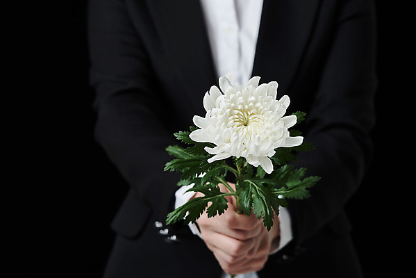 포토 JPG 스튜디오촬영 손 꽃 한송이 검은배경 국화 실내 들기 누끼 정장 상반신 20대 앞모습 슬픔 죽음 애도 위로 장례 장례식 장례용품 추모 국내포토 식물 1 옷 감정 뷰포인트 백그라운드 모션 청년 내부 신체부위 검은색 오브젝트 송이 파일형식