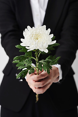 포토 JPG 스튜디오촬영 손 꽃 한송이 국화 실내 들기 누끼 정장 상반신 20대 앞모습 슬픔 죽음 흰배경 애도 위로 장례 장례식 장례용품 추모 국내포토 식물 1 옷 감정 뷰포인트 백그라운드 모션 청년 내부 신체부위 흰색 오브젝트 송이 파일형식