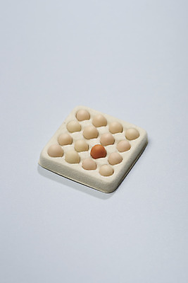 포토 JPG 스튜디오촬영 실내 사람없음 하이앵글 컬러풀 모형 계란 여러개 오브젝트 계란판 특별함 강조 국내포토 뷰포인트 컬러 다수 컨셉 내부 알 파일형식