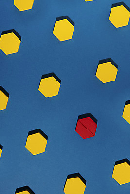 포토 JPG 스튜디오촬영 실내 그림자 사람없음 하이앵글 컬러풀 장난감 여러개 블록 오브젝트 교구 육각형 특별함 나무블록 플랫레이 강조 국내포토 도형 교육 뷰포인트 컬러 다수 컨셉 내부 목재 플랫 파일형식