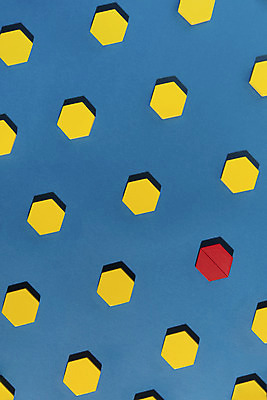 포토 JPG 스튜디오촬영 실내 사람없음 하이앵글 컬러풀 장난감 여러개 블록 오브젝트 교구 육각형 특별함 나무블록 플랫레이 강조 국내포토 도형 교육 뷰포인트 컬러 다수 컨셉 내부 목재 플랫 파일형식