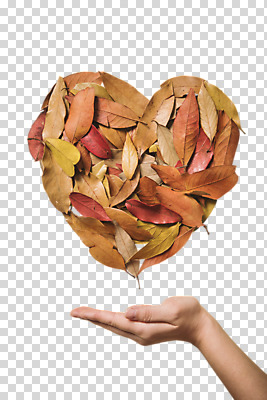 편집이미지 손 기념일 낙엽 한손 사랑 한명 누끼 사람 신체부위 가을 하트 오브젝트 PNG 편집소스 모양 1 계절 감정 잎 이벤트 파일형식