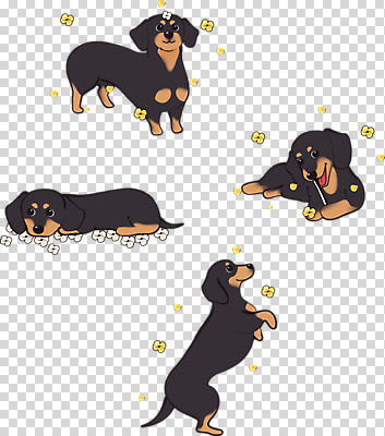 편집이미지 꽃 반려견 여러마리 누끼 사람없음 반려동물 귀여움 강아지 닥스훈트 PNG 반려 편집소스 식물 동물 다수 컨셉 개 파일형식