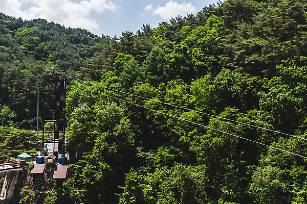 포토 JPG 주간 전신 여자 레저 한명 사람 20대 성인 야외 옆모습 여름 레포츠 한국인 잡기 즐거움 항공촬영 드론 인제군 성인여자한명만 짚트랙 액티비티 국내포토 자연요소 1 계절 감정 뷰포인트 모션 동양인 청년 강원도 여자한명만 성인여자만 파일형식