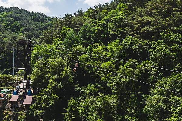 포토 JPG 주간 전신 여자 레저 한명 미소 사람 20대 성인 야외 옆모습 여름 레포츠 한국인 잡기 즐거움 항공촬영 드론 인제군 성인여자한명만 짚트랙 액티비티 국내포토 자연요소 1 계절 감정 뷰포인트 모션 표정 동양인 청년 강원도 여자한명만 성인여자만 파일형식