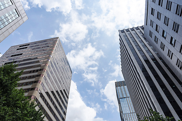 포토 JPG 주간 나무 구름 건축물 외관 현대건축 건축 로우앵글 하늘색 회사 비즈니스 하늘 직장 풍경 빌딩 사람없음 야외 건물 도시풍경 반사 맑음 고층빌딩 도시 빌딩숲 여의도 국내포토 자연요소 식물 뷰포인트 날씨 서울 파란색 파일형식