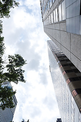 포토 JPG 주간 나무 구름 건축물 외관 현대건축 건축 로우앵글 회사 비즈니스 하늘 직장 풍경 빌딩 사람없음 야외 건물 도시풍경 반사 맑음 고층빌딩 도시 빌딩숲 여의도 국내포토 자연요소 식물 뷰포인트 날씨 서울 파일형식