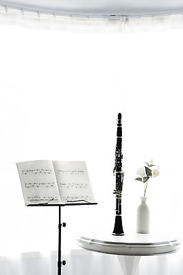 포토 JPG 스튜디오촬영 악기 음악 탁자 문화예술 실내 관악기 취미 사람없음 한개 꽃병 커튼 클래식 보면대 목관악기 악보 서양악기 음악교육 클라리넷 오케스트라 음악치료 홀리드악기 조옮김악기 국내포토 1 교육 꽃 가구 컨셉 내부 치료 악단 파일형식