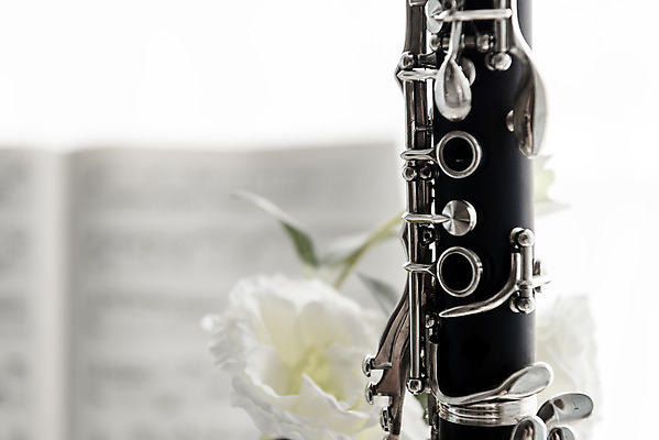 포토 JPG 스튜디오촬영 꽃 악기 음악 문화예술 실내 관악기 근접촬영 취미 사람없음 아웃포커스 한개 클래식 목관악기 서양악기 음악교육 클라리넷 오케스트라 음악치료 홀리드악기 조옮김악기 국내포토 식물 1 교육 뷰포인트 컨셉 촬영기법 내부 치료 악단 파일형식