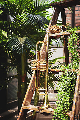 포토 JPG 스튜디오촬영 악기 음악 잎 사다리 문화예술 실내 관악기 취미 사람없음 한개 기쁨 발코니 클래식 금관악기 서양악기 음악교육 트럼펫 오케스트라 독주 음악치료 국내포토 식물 1 교육 감정 컨셉 내부 치료 도구 악단 파일형식