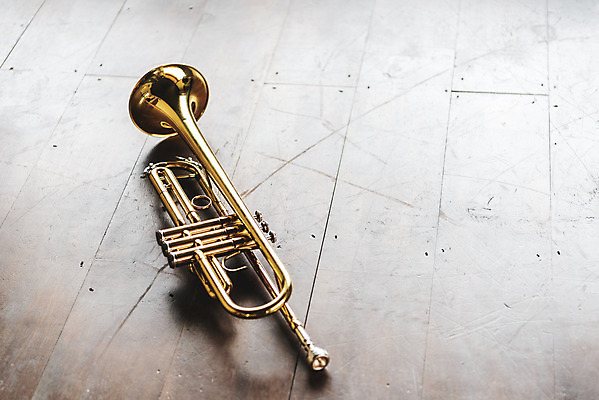 포토 JPG 스튜디오촬영 악기 음악 문화예술 실내 관악기 취미 사람없음 한개 기쁨 클래식 금관악기 서양악기 음악교육 트럼펫 오케스트라 독주 음악치료 나무배경 국내포토 1 교육 감정 백그라운드 컨셉 내부 치료 악단 파일형식