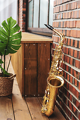 포토 JPG 스튜디오촬영 악기 음악 잎 문화예술 벽돌 실내 관악기 취미 사람없음 한개 클래식 색소폰 목관악기 서양악기 음악교육 오케스트라 군악대 독주 음악치료 홀리드악기 국내포토 식물 1 교육 컨셉 내부 치료 악단 파일형식