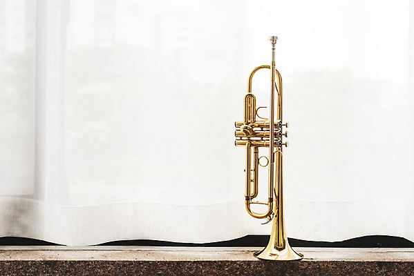 포토 JPG 스튜디오촬영 악기 음악 문화예술 실내 관악기 취미 사람없음 한개 기쁨 커튼 클래식 창가 금관악기 서양악기 음악교육 트럼펫 오케스트라 독주 음악치료 국내포토 1 교육 감정 컨셉 창문 내부 치료 악단 파일형식