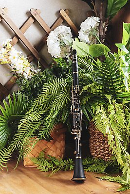 포토 JPG 스튜디오촬영 식물 꽃 악기 음악 잎 문화예술 실내 관악기 취미 사람없음 한개 클래식 목관악기 서양악기 음악교육 클라리넷 오케스트라 음악치료 홀리드악기 조옮김악기 국내포토 1 교육 컨셉 내부 치료 악단 파일형식