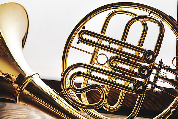 포토 JPG 스튜디오촬영 악기 음악 문화예술 실내 관악기 근접촬영 취미 사람없음 한개 클래식 금관악기 서양악기 음악교육 호른 오케스트라 프렌치호른 음악치료 국내포토 1 교육 뷰포인트 컨셉 내부 치료 악단 파일형식