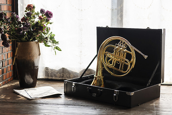 포토 JPG 스튜디오촬영 악기 음악 문화예술 실내 관악기 취미 사람없음 한개 꽃병 클래식 창가 금관악기 악보 보관함 서양악기 음악교육 호른 오케스트라 프렌치호른 음악치료 국내포토 1 교육 꽃 컨셉 창문 내부 치료 악단 파일형식