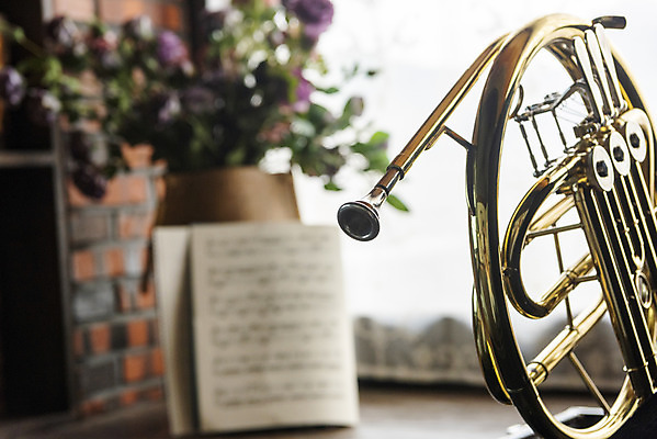 포토 JPG 스튜디오촬영 악기 음악 문화예술 실내 관악기 근접촬영 취미 사람없음 아웃포커스 한개 꽃병 클래식 창가 금관악기 악보 보관함 서양악기 음악교육 호른 오케스트라 프렌치호른 음악치료 국내포토 1 교육 꽃 뷰포인트 컨셉 창문 촬영기법 내부 치료 악단 파일형식