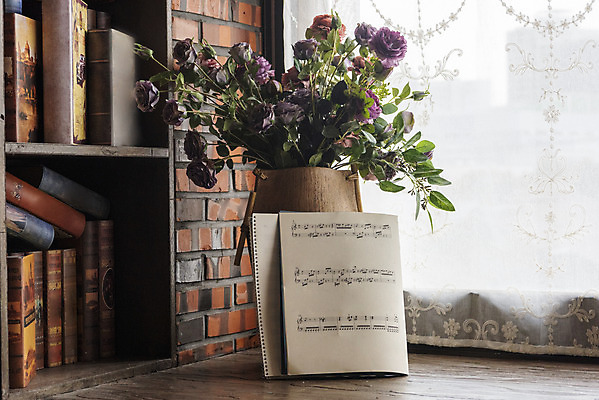 포토 JPG 스튜디오촬영 음악 문화예술 실내 취미 사람없음 꽃병 클래식 창가 악보 음악교육 오케스트라 음악치료 국내포토 교육 꽃 컨셉 창문 내부 치료 악단 파일형식