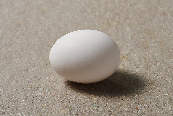 포토 JPG 스튜디오촬영 음식 식재료 회색배경 실내 누끼 사람없음 하이앵글 한개 계란 알 회색 신선 유기농 단백질 국내포토 1 웰빙 뷰포인트 컬러 백그라운드 내부 영양소 파일형식