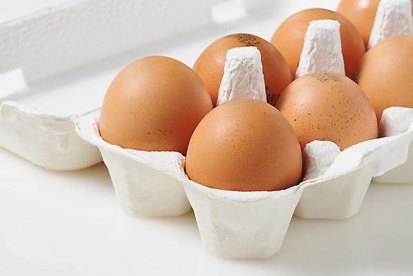 포토 JPG 스튜디오촬영 음식 식재료 포장 실내 누끼 근접촬영 사람없음 하이앵글 계란 알 여러개 흰색 신선 흰배경 유기농 계란판 단백질 포장용기 국내포토 웰빙 뷰포인트 컬러 다수 백그라운드 내부 영양소 포장재료 파일형식
