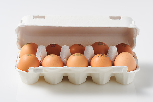 포토 JPG 스튜디오촬영 음식 식재료 포장 실내 누끼 사람없음 하이앵글 계란 알 여러개 흰색 신선 흰배경 유기농 계란판 단백질 포장용기 국내포토 웰빙 뷰포인트 컬러 다수 백그라운드 내부 영양소 포장재료 파일형식