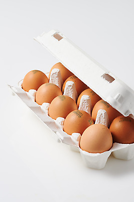 포토 JPG 스튜디오촬영 음식 식재료 포장 실내 누끼 사람없음 하이앵글 계란 알 여러개 흰색 신선 흰배경 유기농 계란판 단백질 포장용기 국내포토 웰빙 뷰포인트 컬러 다수 백그라운드 내부 영양소 포장재료 파일형식