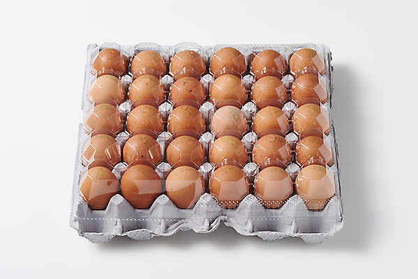 포토 JPG 스튜디오촬영 음식 식재료 포장 실내 누끼 사람없음 하이앵글 계란 알 여러개 흰색 신선 흰배경 유기농 계란판 단백질 포장용기 국내포토 웰빙 뷰포인트 컬러 다수 백그라운드 내부 영양소 포장재료 파일형식