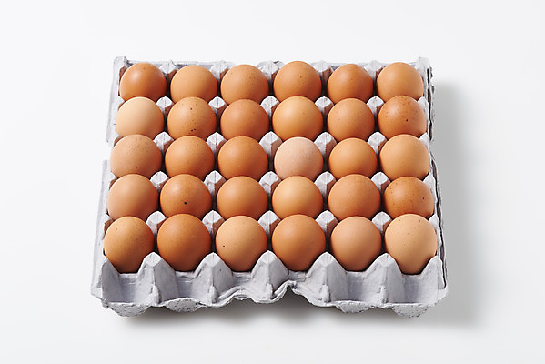 포토 JPG 스튜디오촬영 음식 식재료 포장 실내 누끼 사람없음 하이앵글 계란 알 여러개 흰색 신선 흰배경 유기농 계란판 단백질 포장용기 국내포토 웰빙 뷰포인트 컬러 다수 백그라운드 내부 영양소 포장재료 파일형식