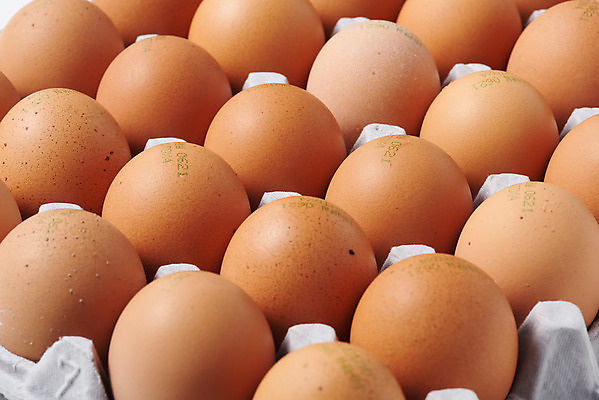 포토 JPG 스튜디오촬영 음식 식재료 포장 실내 누끼 근접촬영 사람없음 하이앵글 갈색 계란 알 여러개 회색 신선 유기농 계란판 단백질 포장용기 국내포토 웰빙 뷰포인트 컬러 다수 내부 영양소 포장재료 파일형식