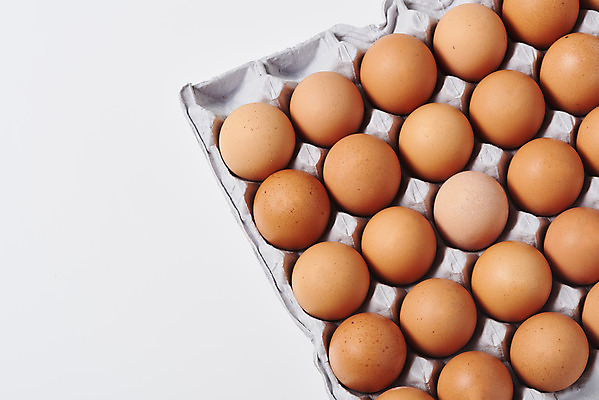 포토 JPG 스튜디오촬영 음식 식재료 포장 실내 누끼 사람없음 하이앵글 계란 알 여러개 흰색 신선 흰배경 유기농 계란판 단백질 포장용기 국내포토 웰빙 뷰포인트 컬러 다수 백그라운드 내부 영양소 포장재료 파일형식