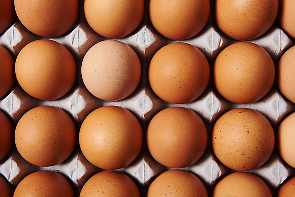 포토 JPG 스튜디오촬영 음식 식재료 실내 누끼 근접촬영 사람없음 하이앵글 계란 알 여러개 회색 신선 유기농 계란판 단백질 플랫레이 국내포토 웰빙 뷰포인트 컬러 다수 내부 플랫 영양소 파일형식