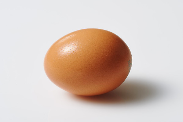 포토 JPG 스튜디오촬영 음식 식재료 실내 누끼 근접촬영 사람없음 하이앵글 한개 계란 알 흰색 신선 흰배경 유기농 단백질 국내포토 1 웰빙 뷰포인트 컬러 백그라운드 내부 영양소 파일형식
