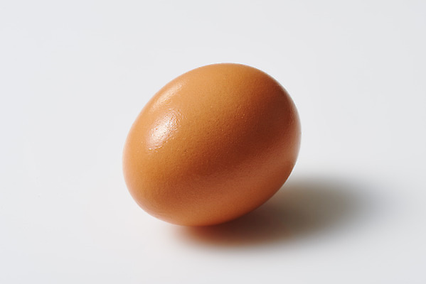 포토 JPG 스튜디오촬영 음식 식재료 실내 누끼 근접촬영 사람없음 하이앵글 한개 계란 알 흰색 신선 흰배경 유기농 단백질 국내포토 1 웰빙 뷰포인트 컬러 백그라운드 내부 영양소 파일형식