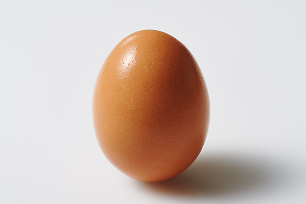 포토 JPG 스튜디오촬영 음식 식재료 실내 누끼 근접촬영 사람없음 한개 계란 알 흰색 신선 흰배경 유기농 단백질 국내포토 1 웰빙 뷰포인트 컬러 백그라운드 내부 영양소 파일형식