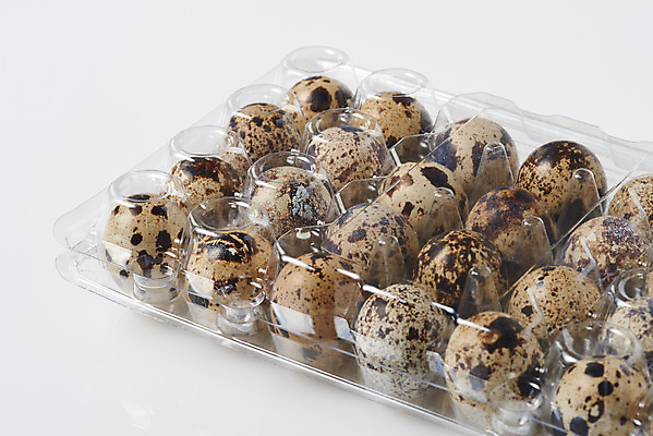 포토 JPG 스튜디오촬영 음식 식재료 포장 실내 누끼 사람없음 하이앵글 알 여러개 흰색 신선 흰배경 유기농 메추리알 단백질 포장용기 국내포토 웰빙 뷰포인트 컬러 다수 백그라운드 내부 영양소 포장재료 파일형식