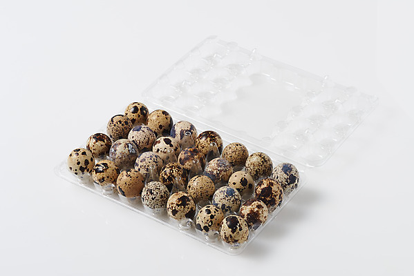 포토 JPG 스튜디오촬영 음식 식재료 포장 실내 누끼 사람없음 하이앵글 알 여러개 흰색 신선 흰배경 유기농 메추리알 단백질 포장용기 국내포토 웰빙 뷰포인트 컬러 다수 백그라운드 내부 영양소 포장재료 파일형식