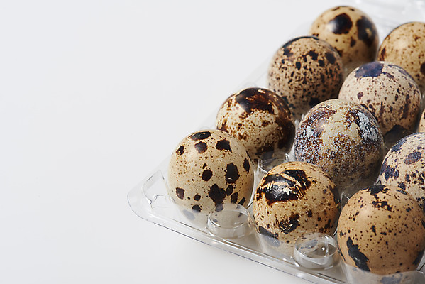 포토 JPG 스튜디오촬영 음식 식재료 포장 실내 누끼 근접촬영 사람없음 하이앵글 알 여러개 흰색 신선 흰배경 유기농 메추리알 단백질 포장용기 국내포토 웰빙 뷰포인트 컬러 다수 백그라운드 내부 영양소 포장재료 파일형식