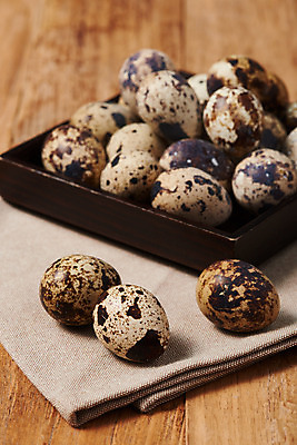 포토 JPG 스튜디오촬영 접시 음식 식재료 실내 누끼 사람없음 아웃포커스 하이앵글 갈색 알 여러개 신선 천 유기농 메추리알 단백질 나무배경 국내포토 식기 웰빙 뷰포인트 컬러 다수 백그라운드 촬영기법 내부 직물 영양소 파일형식