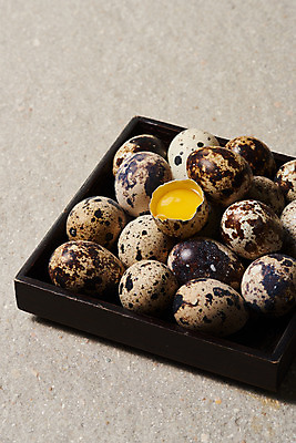 포토 JPG 스튜디오촬영 접시 음식 식재료 회색배경 실내 누끼 사람없음 하이앵글 알 여러개 회색 신선 유기농 노른자 메추리알 단백질 국내포토 식기 웰빙 뷰포인트 컬러 다수 백그라운드 내부 계란 영양소 파일형식