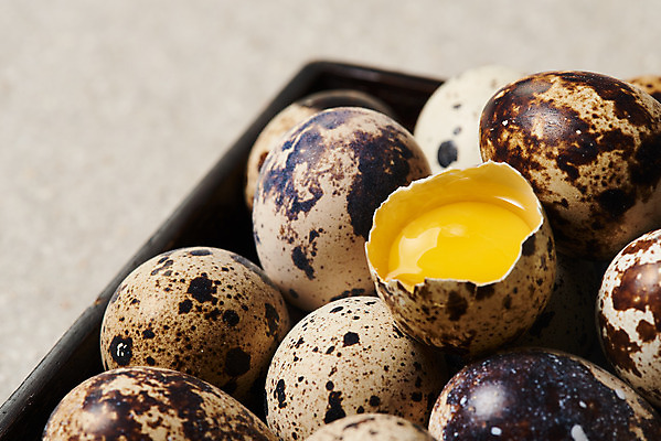 포토 JPG 스튜디오촬영 접시 음식 식재료 회색배경 실내 누끼 근접촬영 사람없음 하이앵글 알 여러개 회색 신선 유기농 노른자 메추리알 단백질 국내포토 식기 웰빙 뷰포인트 컬러 다수 백그라운드 내부 계란 영양소 파일형식