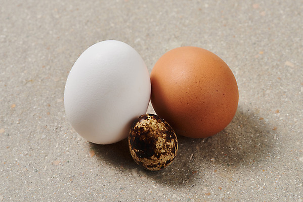 포토 JPG 스튜디오촬영 음식 식재료 회색배경 실내 누끼 사람없음 하이앵글 계란 알 회색 신선 세개 유기농 메추리알 단백질 국내포토 웰빙 뷰포인트 컬러 백그라운드 3 내부 영양소 파일형식