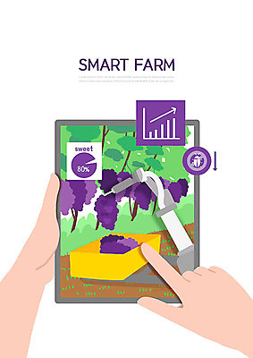 PSD 손 일러스트 포도 그래프 한명 사람 성인 신체부위 스마트폰 컬러풀 태블릿 터치 수확 벌레 과수원 스마트 자동 사물인터넷 스마트팜 당도측정기 국내일러스트 1 컬러 곤충 컨셉 농업 과일 정보기술 전자제품 핸드폰 스마트기기 농장 기계 파일형식