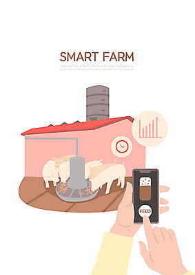 PSD 손 일러스트 그래프 사람 성인 신체부위 스마트폰 컬러풀 시간 돼지 먹이 스마트 스위치 자동 양돈장 사물인터넷 스마트팜 국내일러스트 컬러 컨셉 포유류 정보기술 핸드폰 스마트기기 농장 축사 파일형식